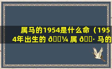 属马的1954是什么命（1954年出生的 🌼 属 🌷 马的是什么命）